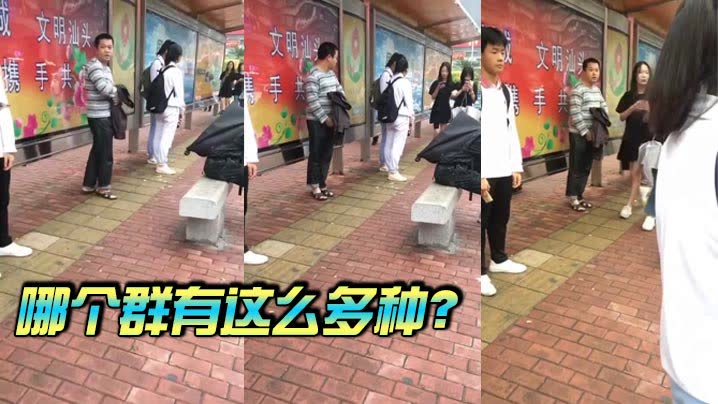 哪个群有这么多种？封面